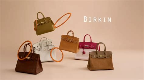 hermes birkin gucci bag|hermes birkin bag death.